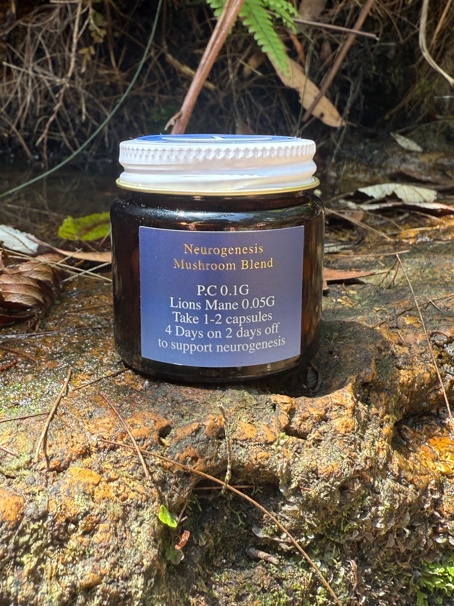 Neurogenesis Mushroom Blend 🩷 small