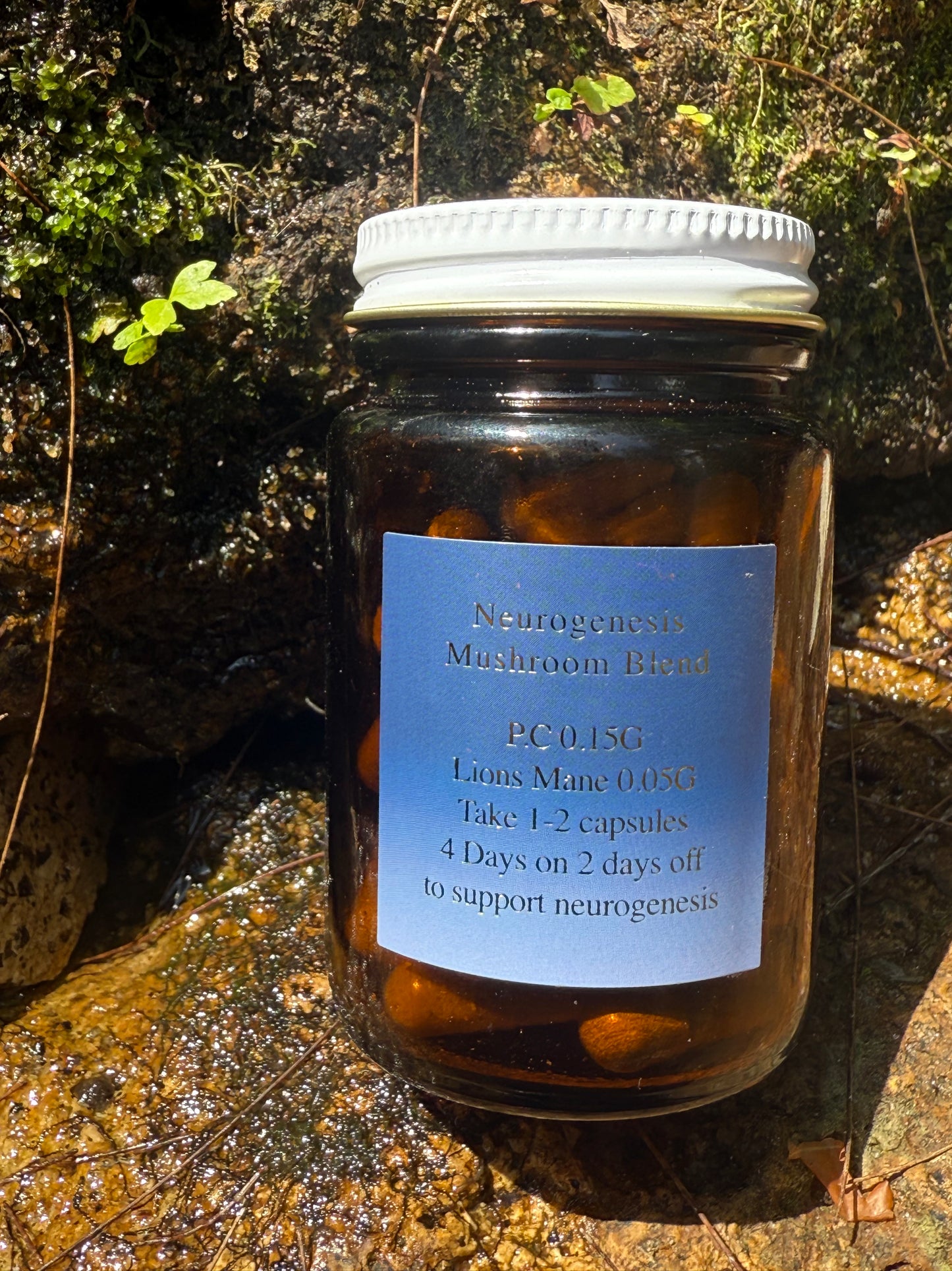 Neurogenesis Mushroom Blend 🩷 large