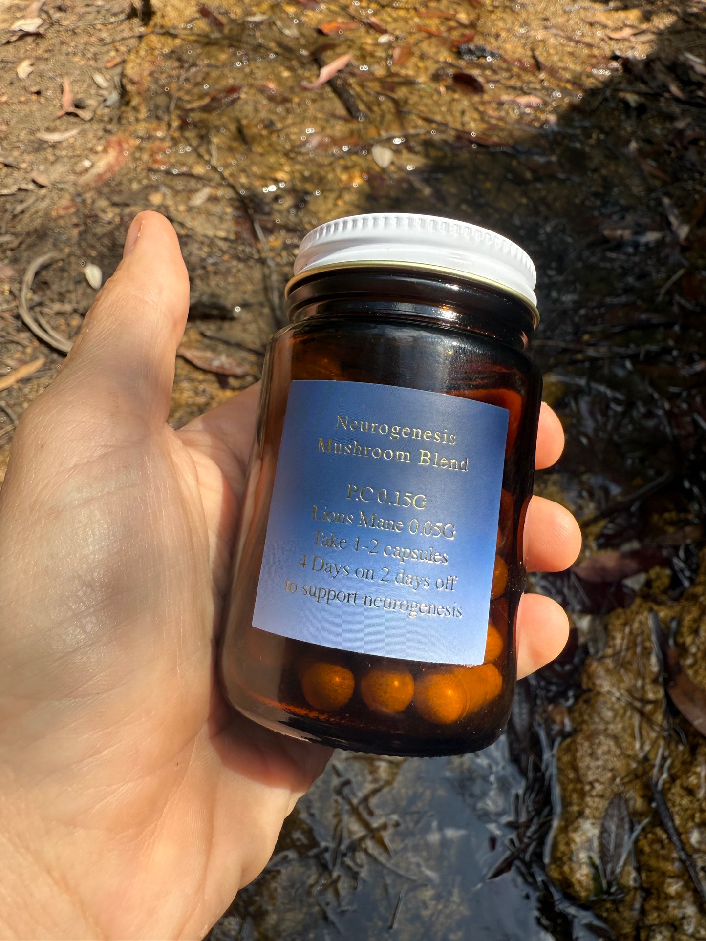 Neurogenesis Mushroom Blend 🩷 large