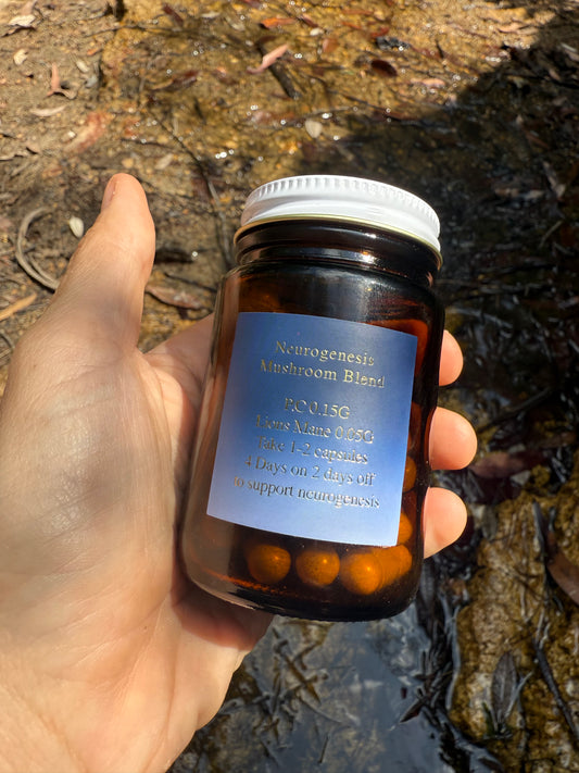 Neurogenesis Mushroom Blend 🩷 large