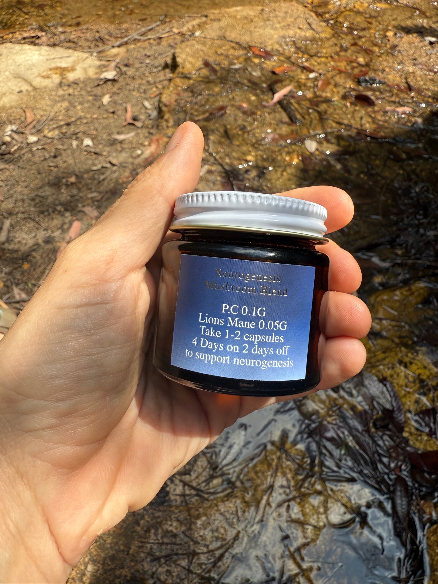 Neurogenesis Mushroom Blend 🩷 small